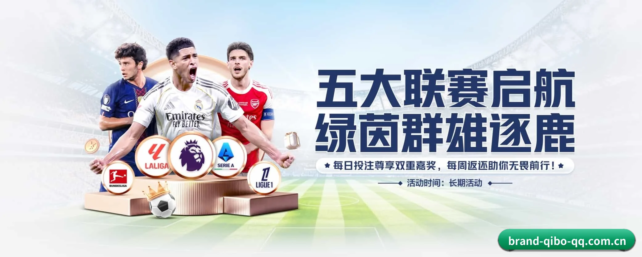 本站五大常用入口,实现极短查分链路 - qibo